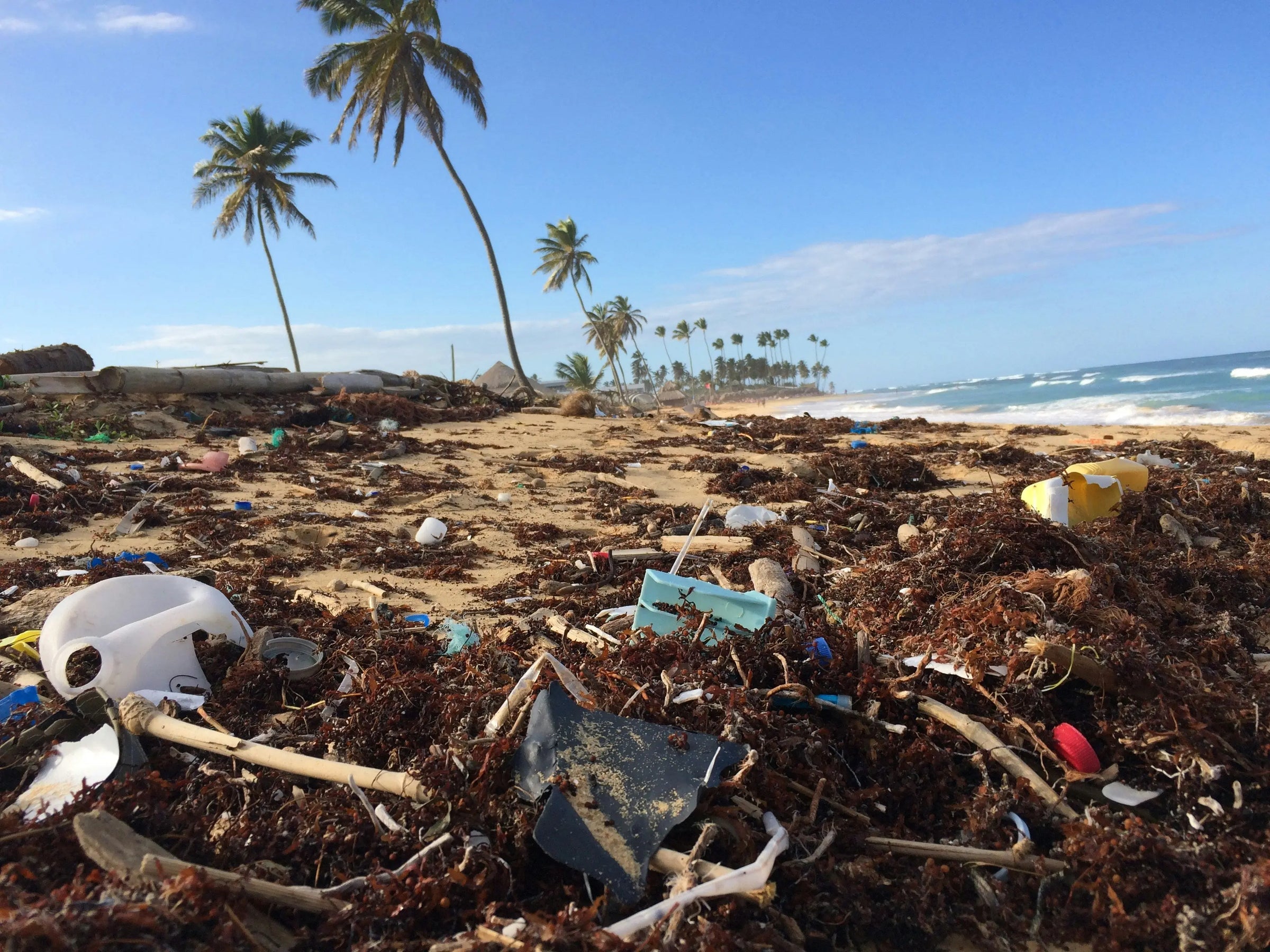 Plage polluée à cause de plastiques et déchets