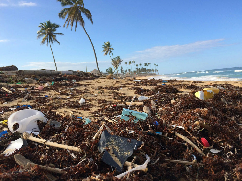 Plage polluée à cause de plastiques et déchets 