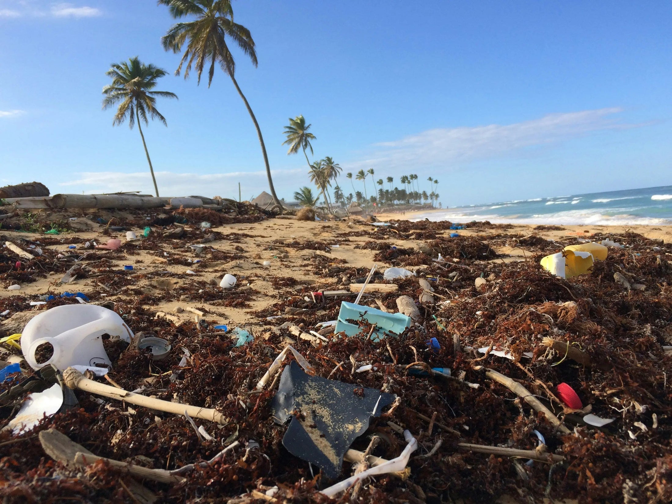 Plage polluée à cause de plastiques et déchets 