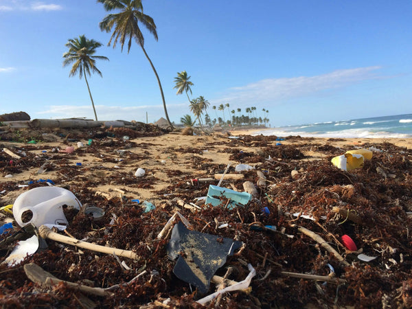 Pourquoi choisir des lunettes écologiques ? Impact environnemental et avantages